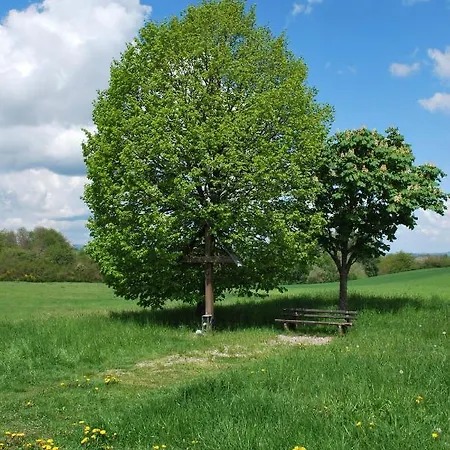 Anna Apartamento Hoppstadten-Weiersbach